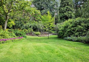 Optimiser l'expérience du jardin à Villard-Bonnot